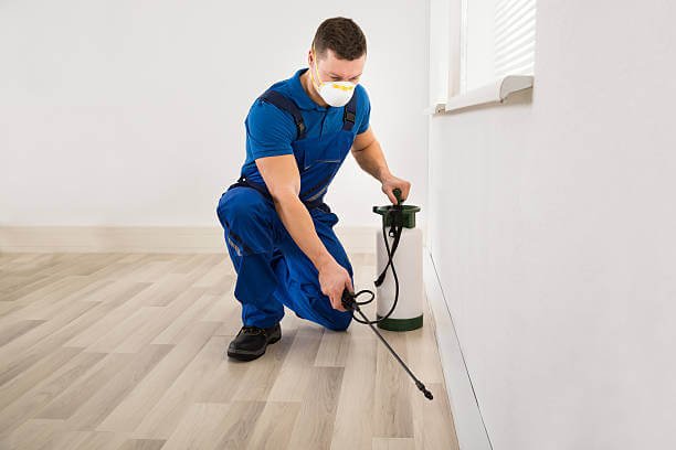 cockroach control 
